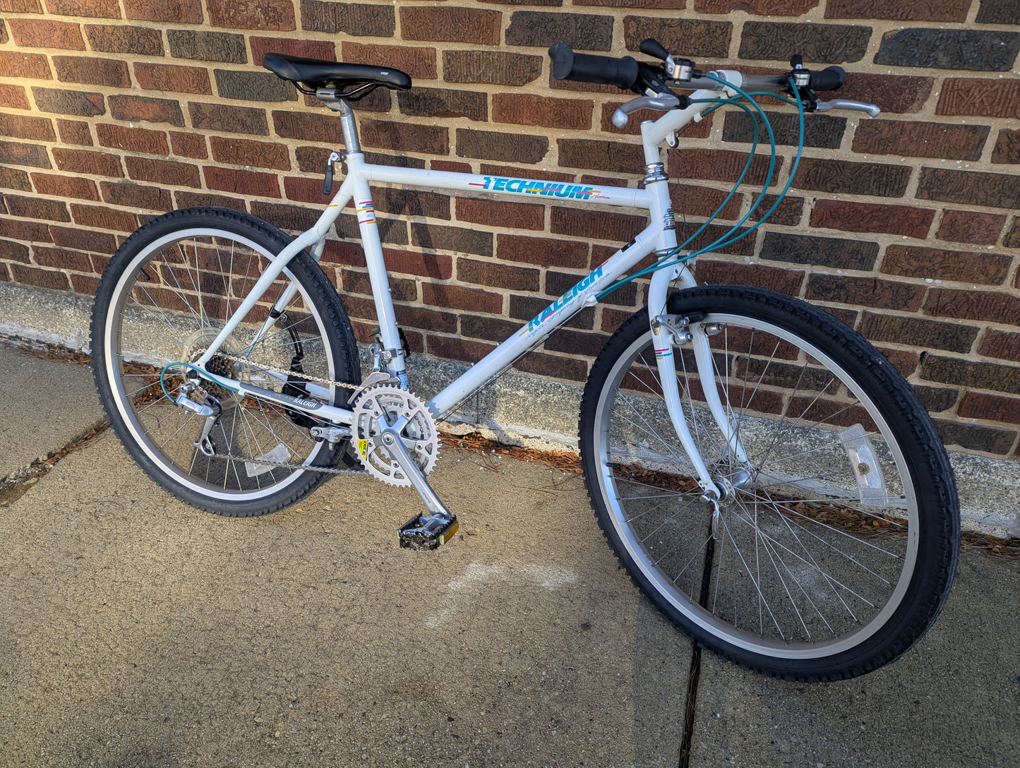 1988 Raleigh Technium Trail Bike