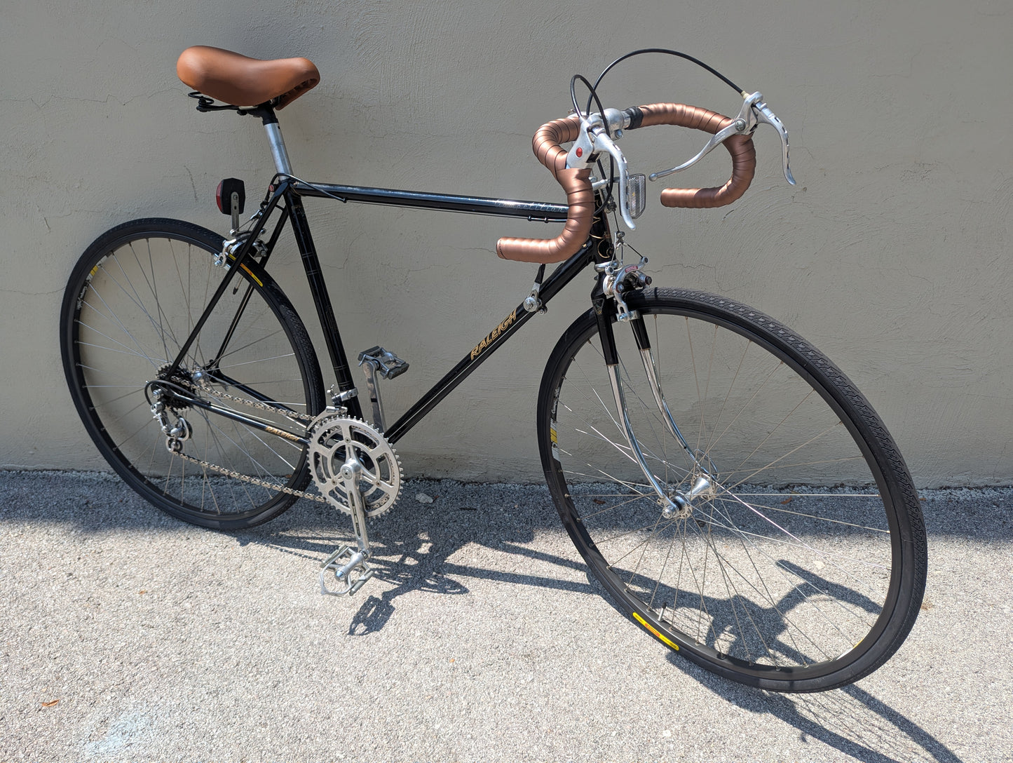 Raleigh Champion "Melting Pot" Road Bike