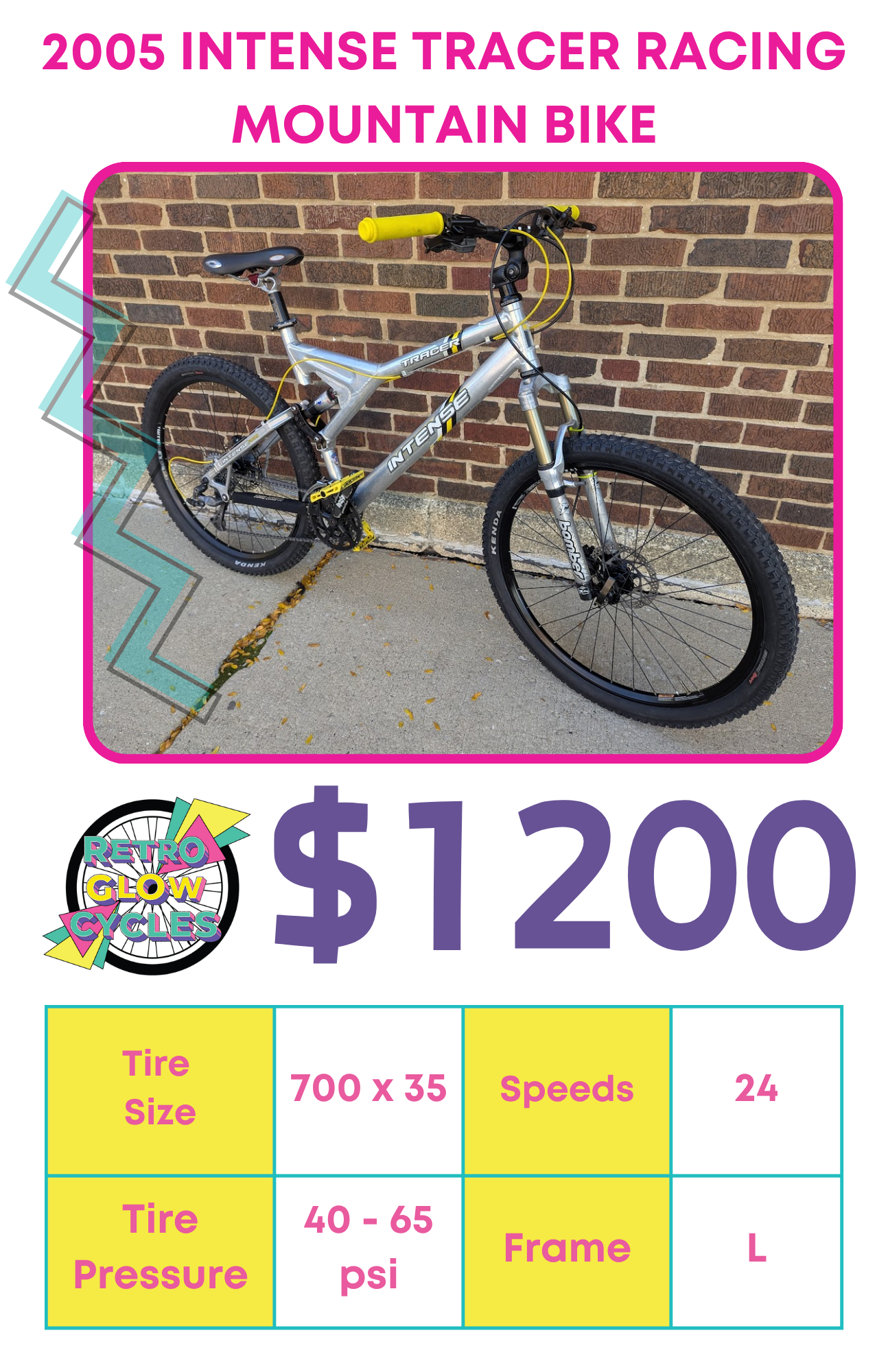 2005 Intense Tracer Racing Mountain Bike