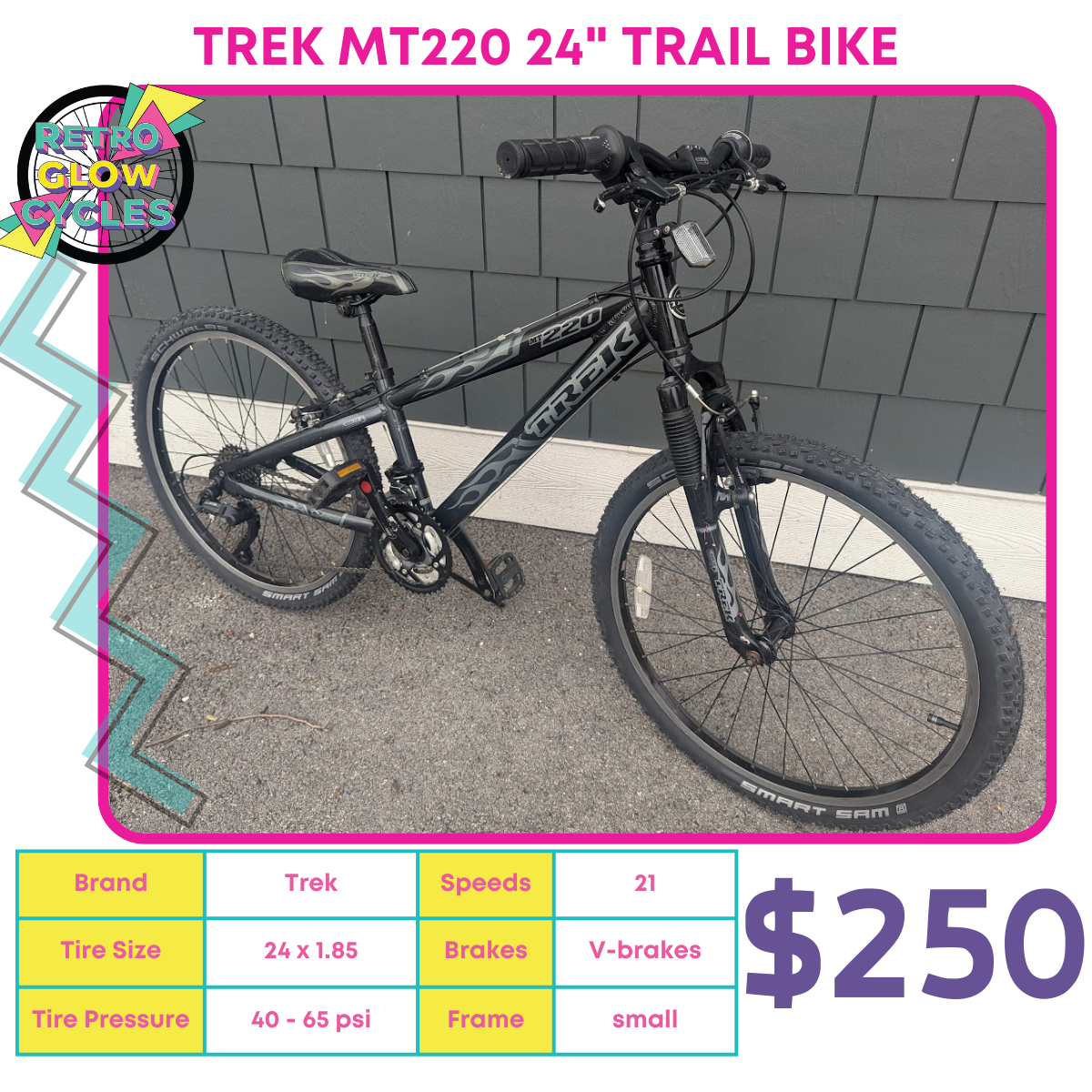 Trek MT220 24" Trail Bike