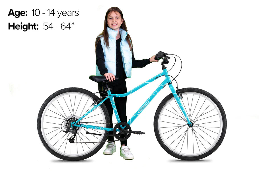 NEW Guardian 26 Inch Bike Blue