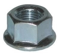 Cyclist Choice 3/8" x 26tpi REAR AXLE NUT 10/bg