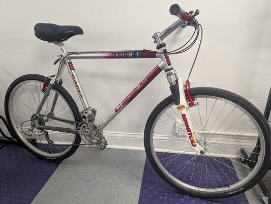 1993 Giant Cadex ALM1 Trail Bike