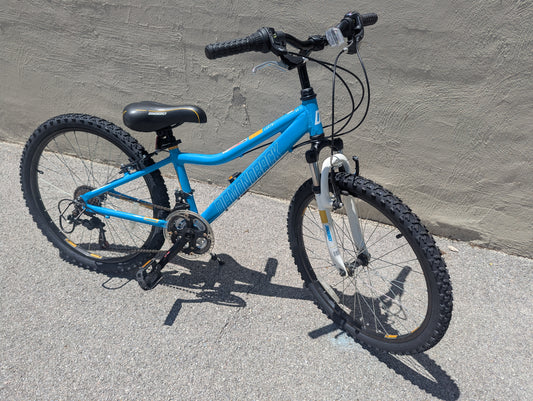 Diamondback Lustre 24" Kids Trail Bike