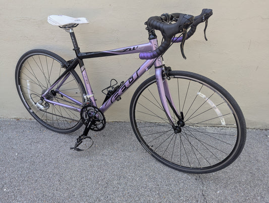 Felt ZW40 24 Speed Road Bike