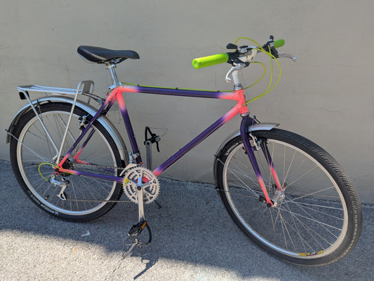 Raleigh "Punky Brewster" 21 Speed Trail Bike