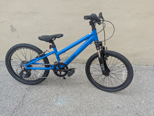 REI Co-Op 20" 6 speed Kids Trail Bike