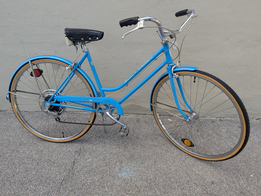 Baby Blue Schwinn Suburban 5-Speed Market Bike!