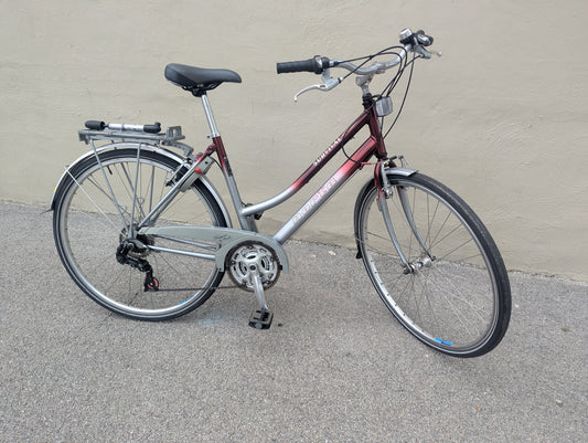 Norta Survival 21 Speed Hybrid Bike
