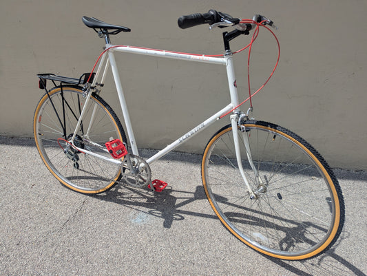 Schwinn World XL Frame 6 Speed Hybrid Gravel Bike!