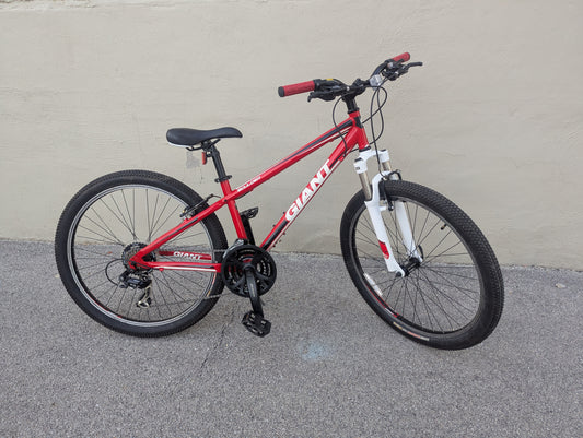 Giant Boulder 21 speed Trail Bike