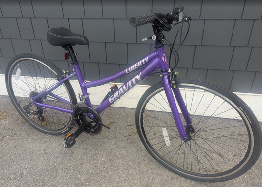 Gravity Liberty 24" Hybrid Bike