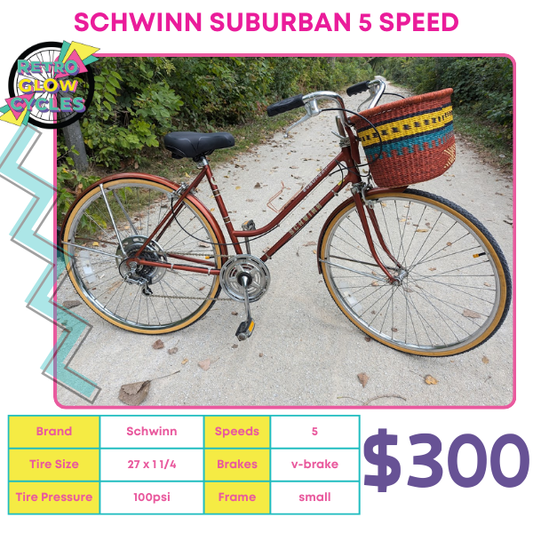 Schwinn Suburban 5-speed market bike