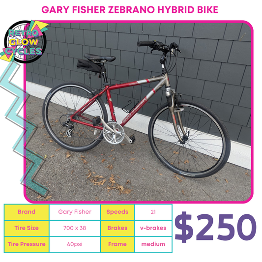 Gary Fisher zebrano hybrid bike