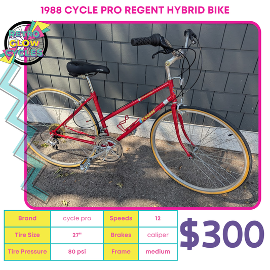 1988 Cycle Pro Regent Hybrid Bike