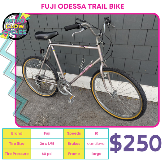 Fuji Odessa Trail Bike