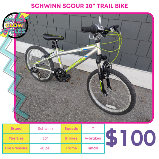 Schwinn Scour 20" Kids Trail Bike