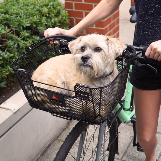 DUAL-FUNCTION PET BASKET STEEL FRONT/REAR BLACK